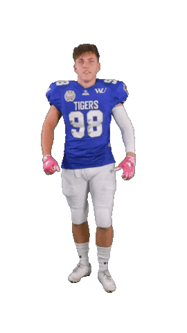 Happy Football Sticker by ACSL - Austrian College Sports League