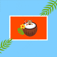 Miss You Summer GIF by Jessica Lau