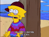Lisa Simpson Episode 25 GIF by The Simpsons