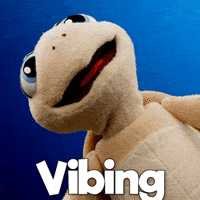 Vibing Sea Turtle GIF by Aquarium of the Pacific