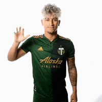 Portland Timbers Hello GIF by Timbers