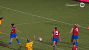 Cup Of Nations Celebration GIF by Football Australia