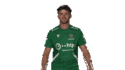 Hannover 96 Hello Sticker by Bundesliga