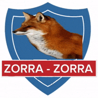 Zeta Colo GIF
