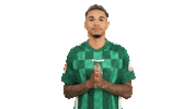 Werder Bremen Thanks Sticker by Bundesliga