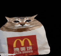Mei Mei Cat GIF