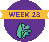 Pregnancy Baby Size Sticker by What to Expect