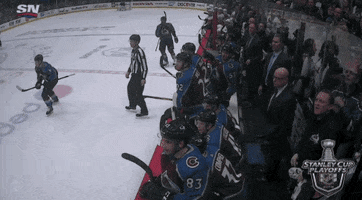 happy ice hockey GIF by NHL