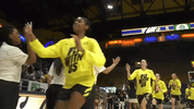 high five oregon women's basketball GIF by Oregon Ducks