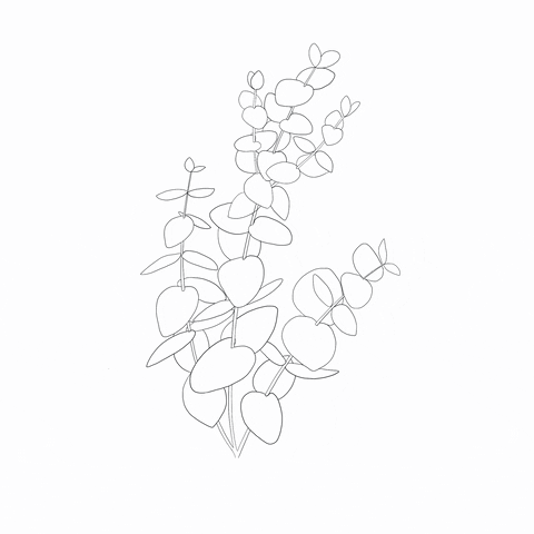 natalikit giphyupload sketch floral botanical GIF