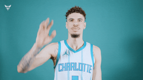 Hive Mentality Lamelo Ball GIF by Charlotte Hornets