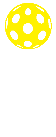 Life Time Fitness Sticker by Life Time