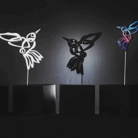 camiladomnguez3bd3 giphygifmaker GIF