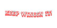 Winwing Sticker by Ass Savers