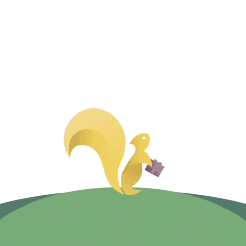 Gift Squirrel GIF by Mary Baldwin University