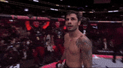 Mixed Martial Arts Sport GIF by UFC