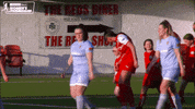 Mascots Teams GIF by Cliftonville Football Club
