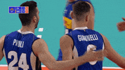 Joy Italy GIF by Volleyball World