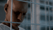fox blink GIF by Wayward Pines