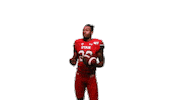 Utah Utes Sticker by Utah Football