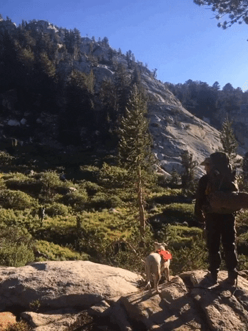 Backpacking Sierras GIF by Justin