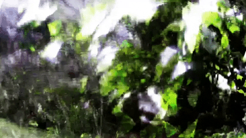 Art Design GIF by jorgemariozuleta