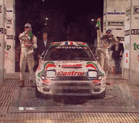 Team Winner GIF by FIA World Rally Championship