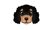 Sausage Dog Sticker by zoopeez
