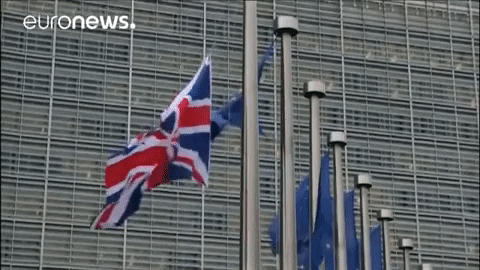 Uk Flag Eu GIF by euronews