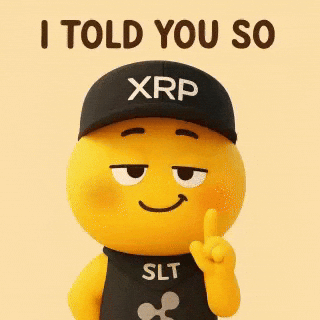 See Web Development GIF by SaluteXRPL