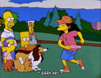 fetch homer simpson GIF
