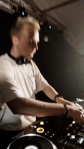 Party Dj GIF by OWLY