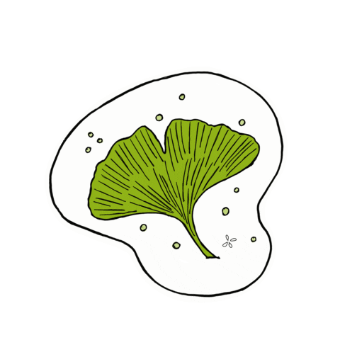 Sticker Leaf Sticker by scholzydesign