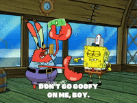 season 5 GIF by SpongeBob SquarePants