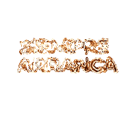 Siemprearranca Sticker by Bujías Hescher