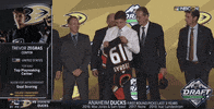 nhl sports sport hockey nhl GIF