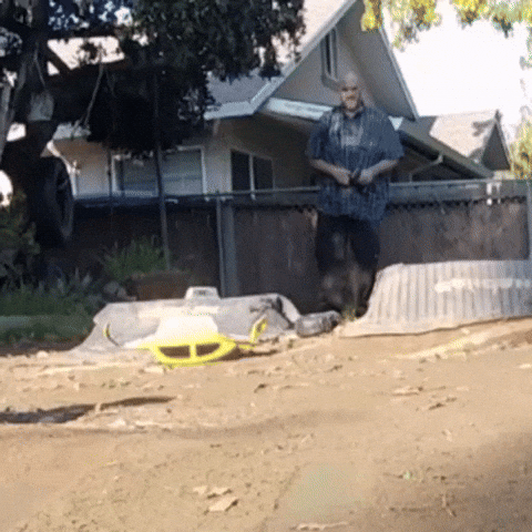 Choo GIF