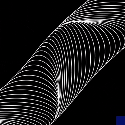 black and white animation GIF by The New Big Poppa E