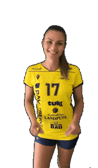 Schwerinersc Sticker by SSCPalmbergSchwerin