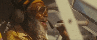 the beach bum laughing GIF by NEON