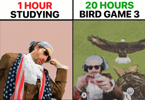 Not Studying Playing Video Games GIF