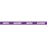 Expert Welding Sticker by GPPH