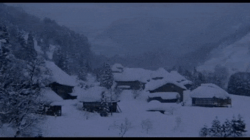 Movie Title Snow GIF by Arrow Academy