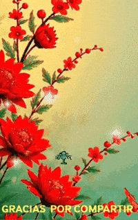 Gracias Amigos GIF by Murcianys LLC