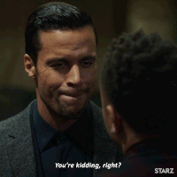 are you kidding season 5 GIF by Power