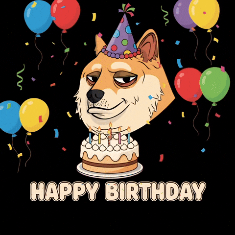 Sarcastic Happy Birthday GIF by Doge Pound