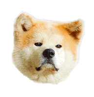 happy dog Sticker by Tales&Tails