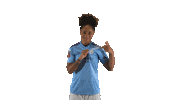 Manchester City Point Sticker by Barclays FAWSL