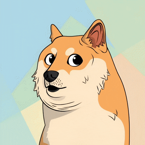 Shiba Inu Wow GIF by Doge Pound
