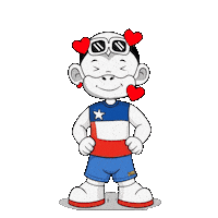 Lone Star Texas Sticker by Zhot